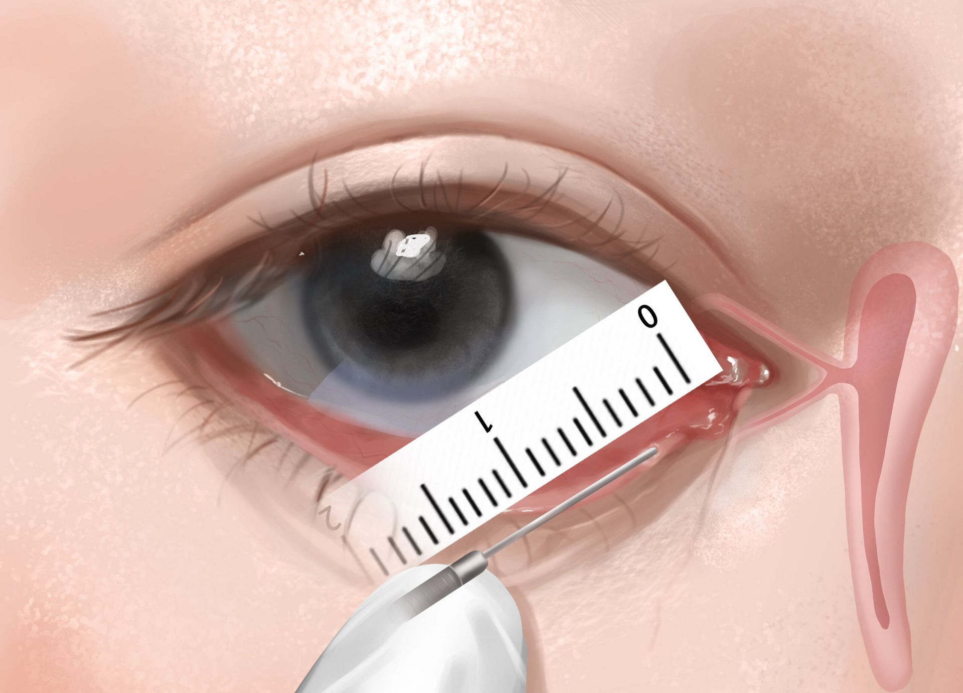 Pediatric clinic folder design