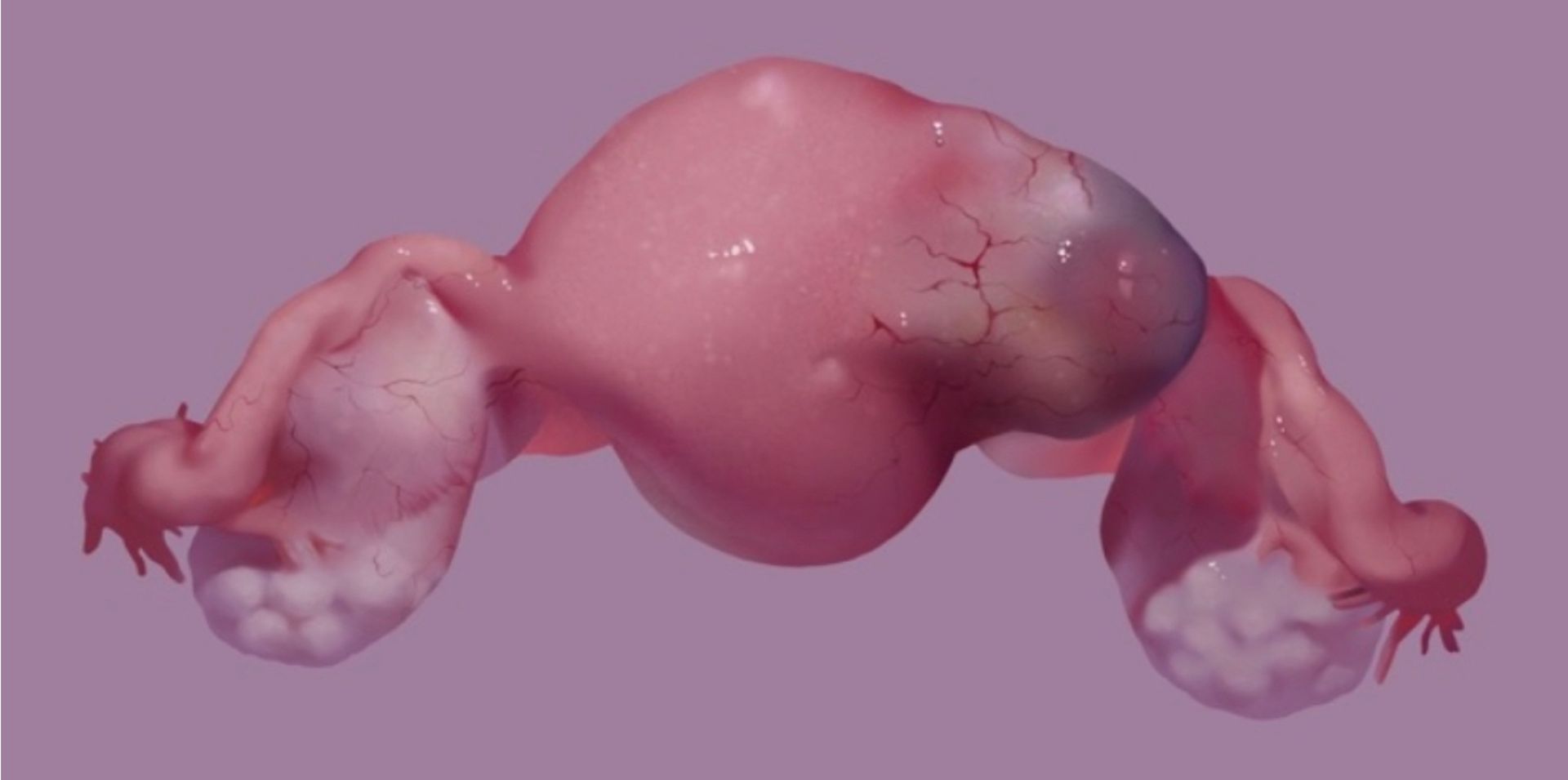 Surgical detail — tissue layers